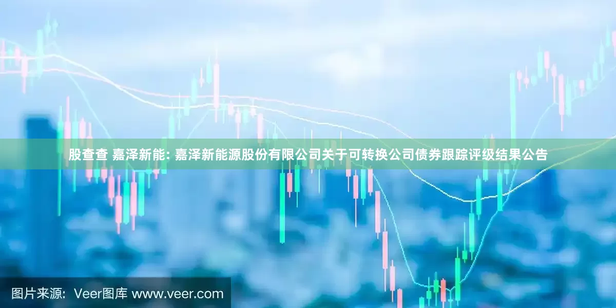 股查查 嘉泽新能: 嘉泽新能源股份有限公司关于可转换公司债券跟踪评级结果公告