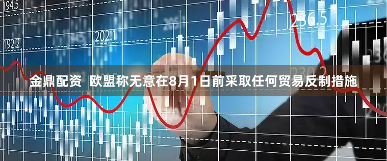 金鼎配资  欧盟称无意在8月1日前采取任何贸易反制措施