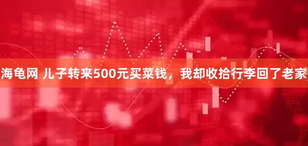 海龟网 儿子转来500元买菜钱，我却收拾行李回了老家
