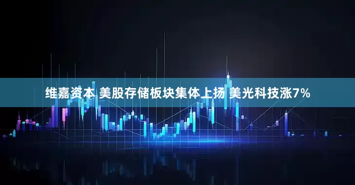 维嘉资本 美股存储板块集体上扬 美光科技涨7%